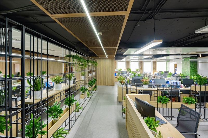  Green Offices Increase Work Productivity by 15%