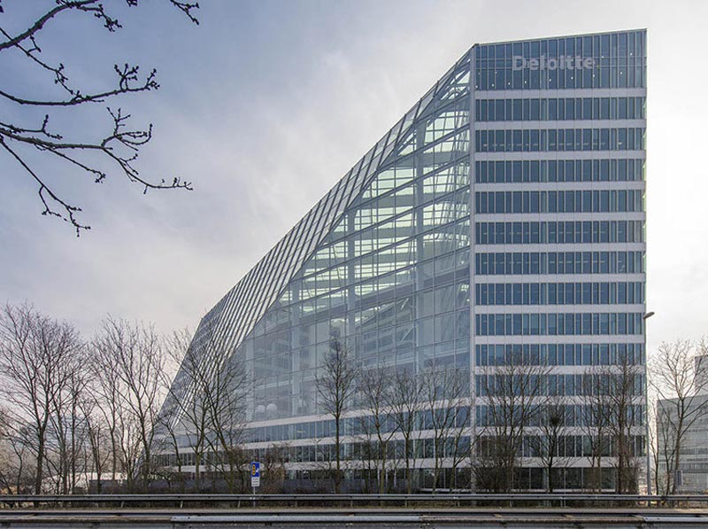 What is a Green Office? Advantages, Disadvantages, and Design Trends