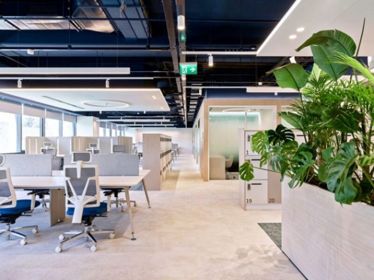 Office Size Standards: How Much Office Space Do You Need?