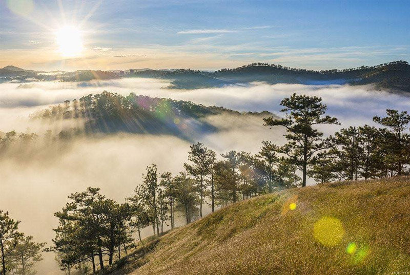 Dalat's climate is cool all year round with a rich and diverse biological system