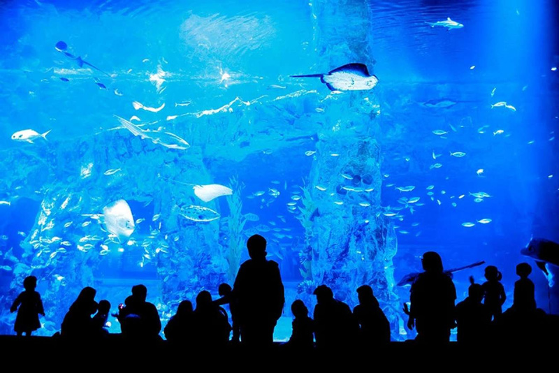 Super large aquarium at Lotte World