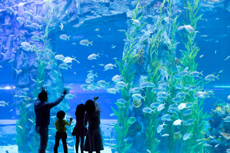 Lotte Aquarium inside Lotte World Tower