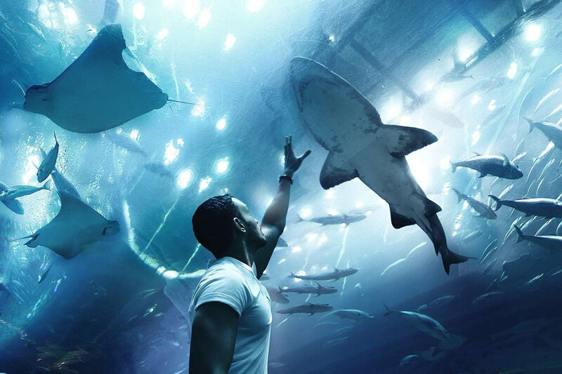 The super large Dubai Aquarium at Burj Khalifa