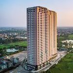 hoang-mai hoang-mai