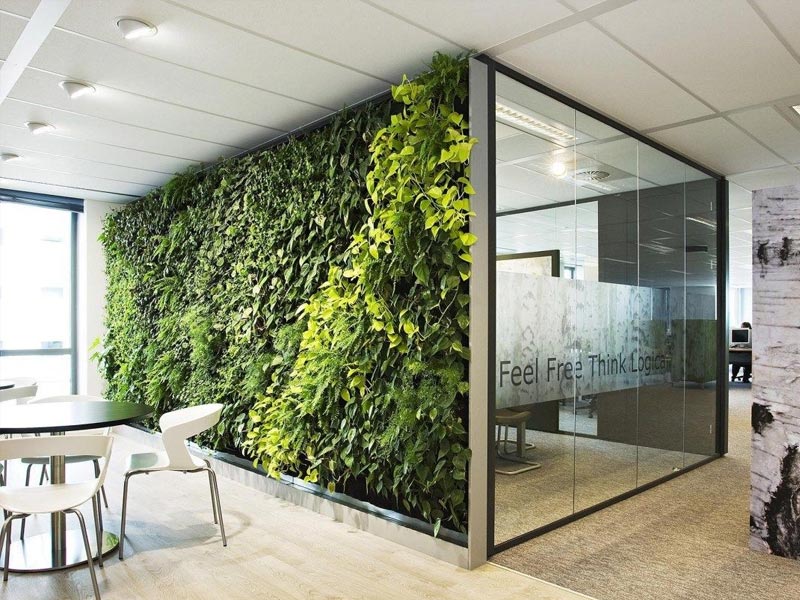 20+ Cách thiết kế cây xanh trong văn phòng Hiện Đại và Cuốn Hút