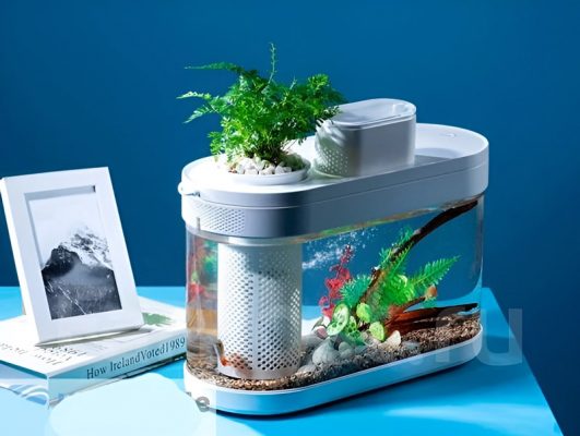 15+ Mẫu Bể Cá Cảnh Mini Để Bàn Làm Việc Đẹp, Hợp Phong Thủy