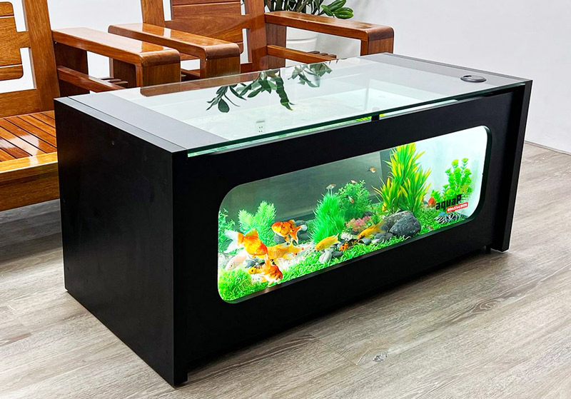 Mẫu bể cá để bàn thuỷ sinh được thiết kế bằng kính trong suốt với nhiều phụ kiện trang trí đẹp mắt