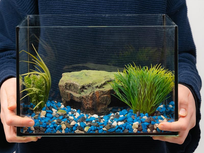 Cách thiết kế tiểu cảnh hồ cá mini bể cá nhỏ đẹp  2020