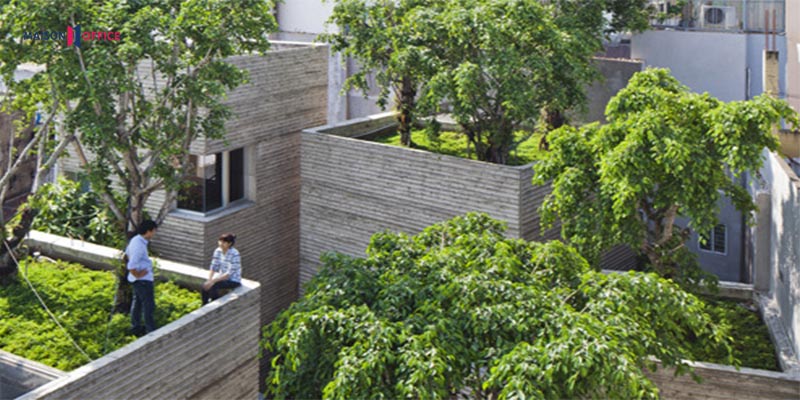 công trình thiết kế xanh house for trees