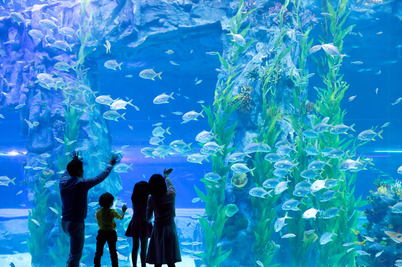 Lotte Aquarium bên trong Lotte World Tower 