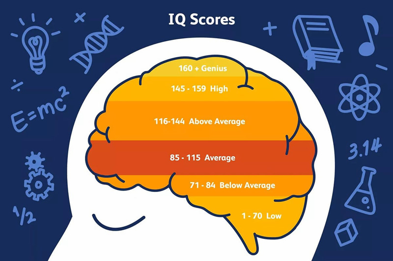 Chỉ số IQ của người bình thường là bao nhiêu?