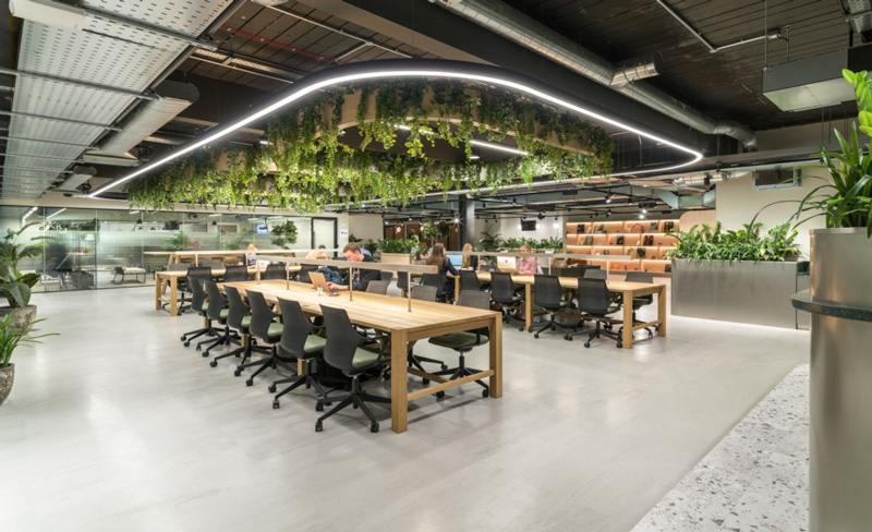 Mẫu thiết kế văn phòng không gian xanh với các giá treo cây xanh ấn tượng 