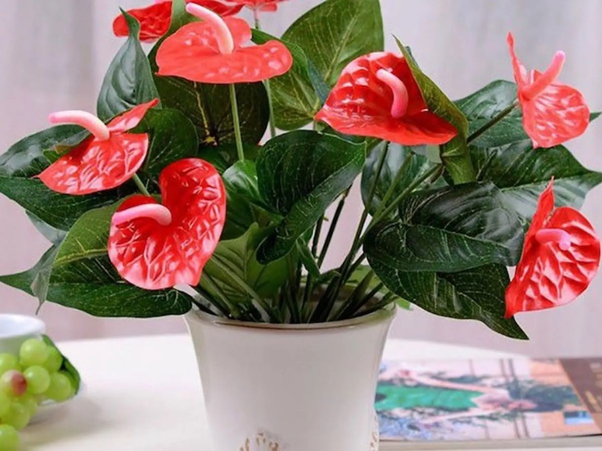 Biểu tượng may mắn và tình duyên