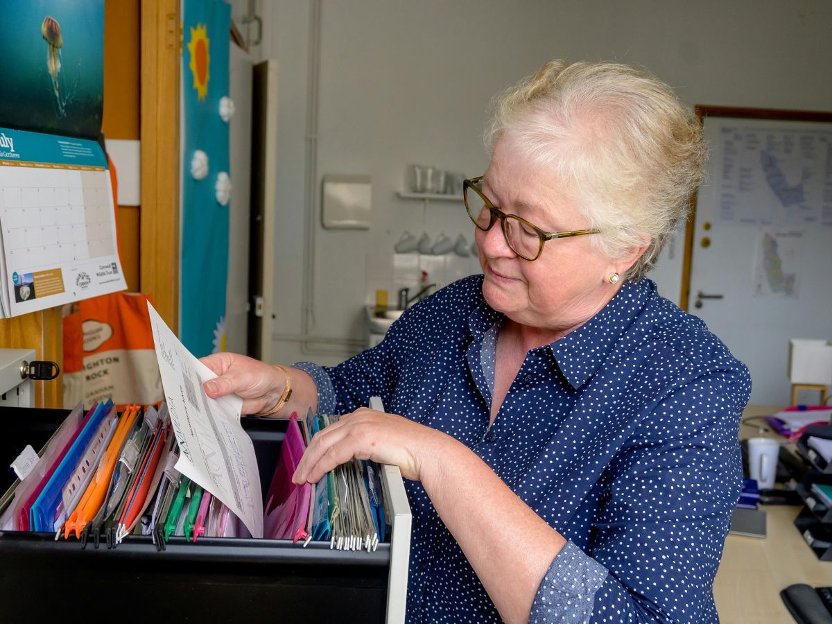 Cơ quan tiếp nhận hồ sơ và xét duyệt