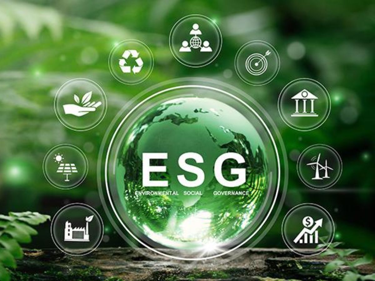 Thiết lập tầm nhìn và lộ trình bền vững