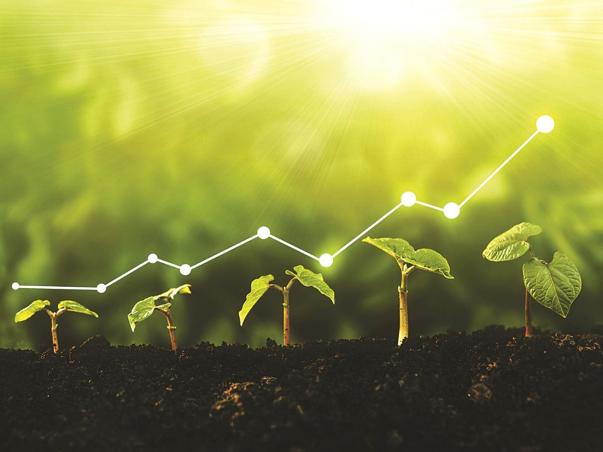 mục tiêu trọng tâm của chuyển đổi xanh