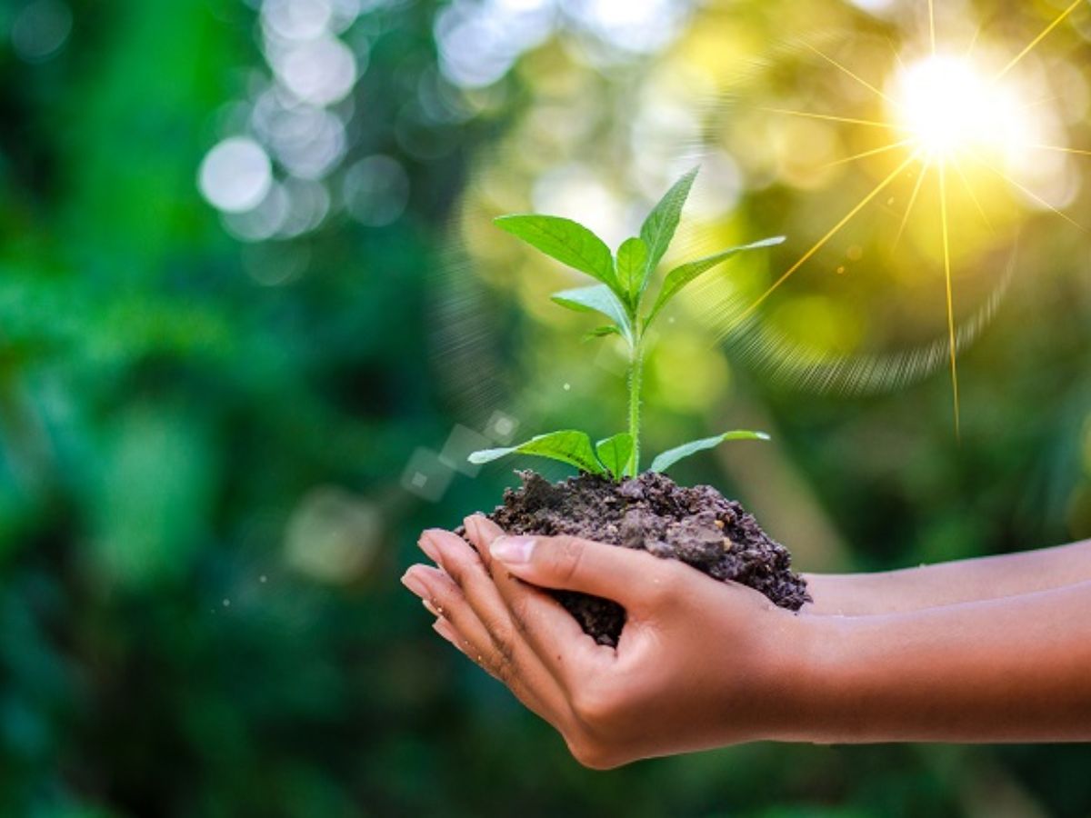 Sự dịch chuyển trong hành vi sống xanh