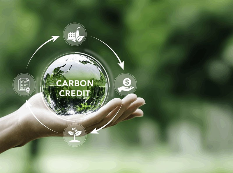 Tín chỉ Carbon góp phần hướng đến mục tiêu Net Zero