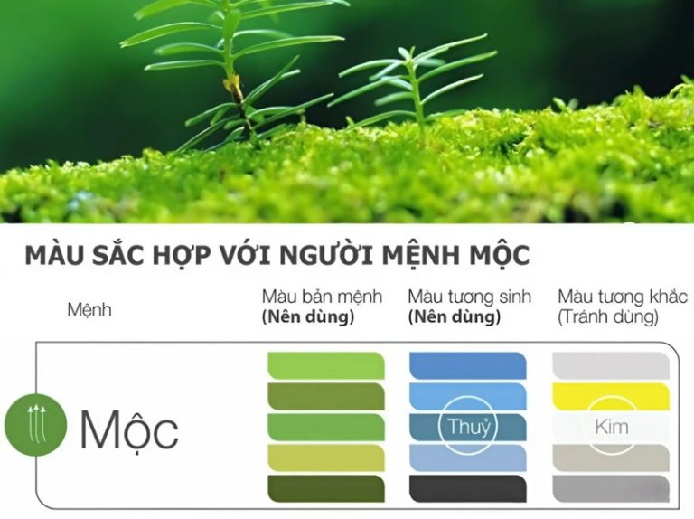 Mệnh Mộc hợp màu gì? Phong thủy cho người mệnh Mộc