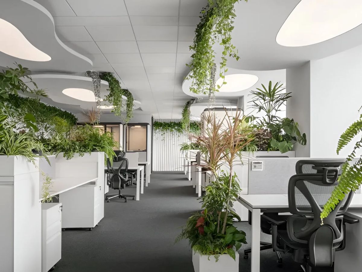 Nguyên tắc bố trí khoa học giúp duy trì dòng khí