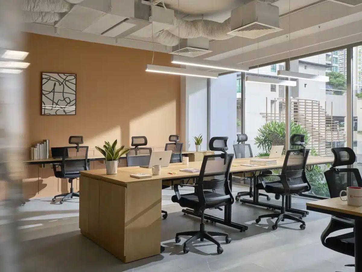 Phong cách tối giản, đường nét rõ ràng 