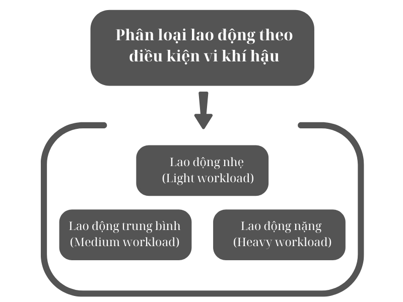 Có 3 nhóm lao động chính khi được phân loại theo điều kiện vi khí hậu 