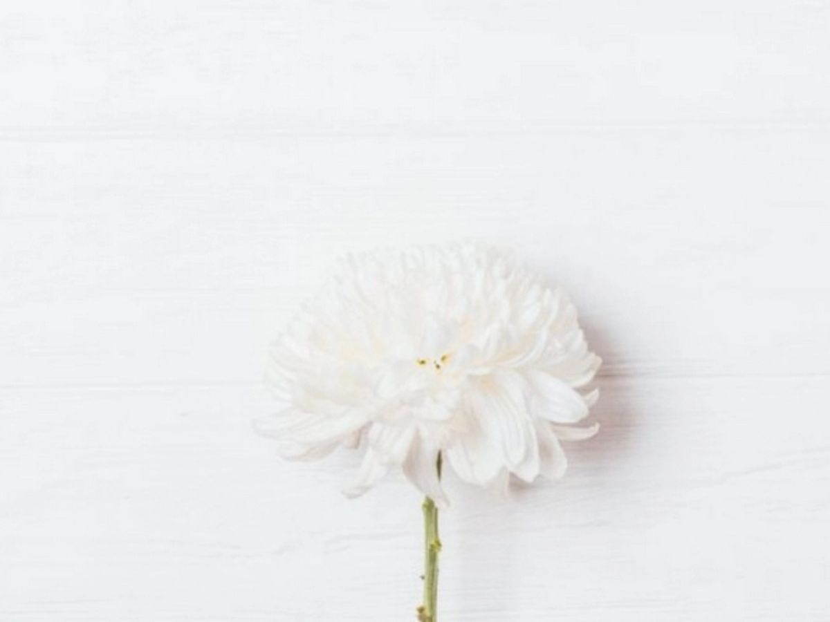 Ứng dụng màu trắng phù hợp với người Mệnh Kim