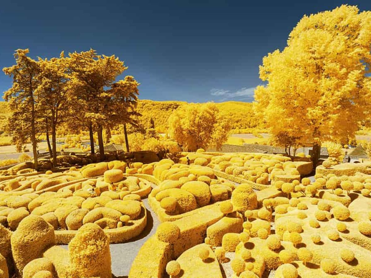 Ứng dụng màu vàng trong phong thủy theo người Mệnh Kim