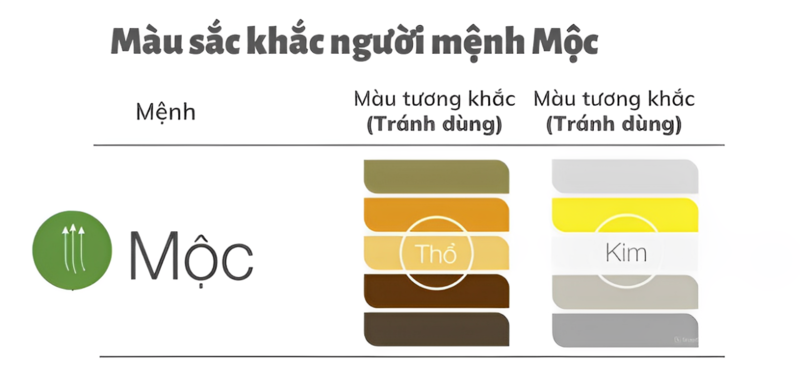 Màu sắc kỵ với mệnh Mộc 