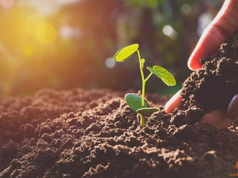 Mệnh Thổ hợp màu gì? Gợi ý màu phong thủy thu hút tài lộc