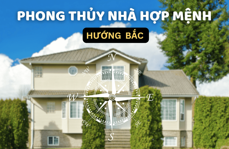 Ứng dụng hướng Bắc trong lựa chọn nhà ở cho người mệnh Mộc