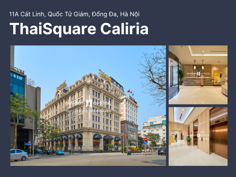 ThaiSquare Caliria là văn phòng thiết kế xanh tại Cát Linh, Hà Nội