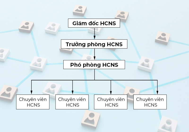 cơ cấu tổ chức HCNS