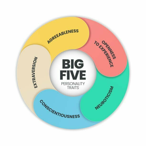 Big 5 Personality Là Gì? Tất Tần Tật Về Mô Hình 5 Tính Cách