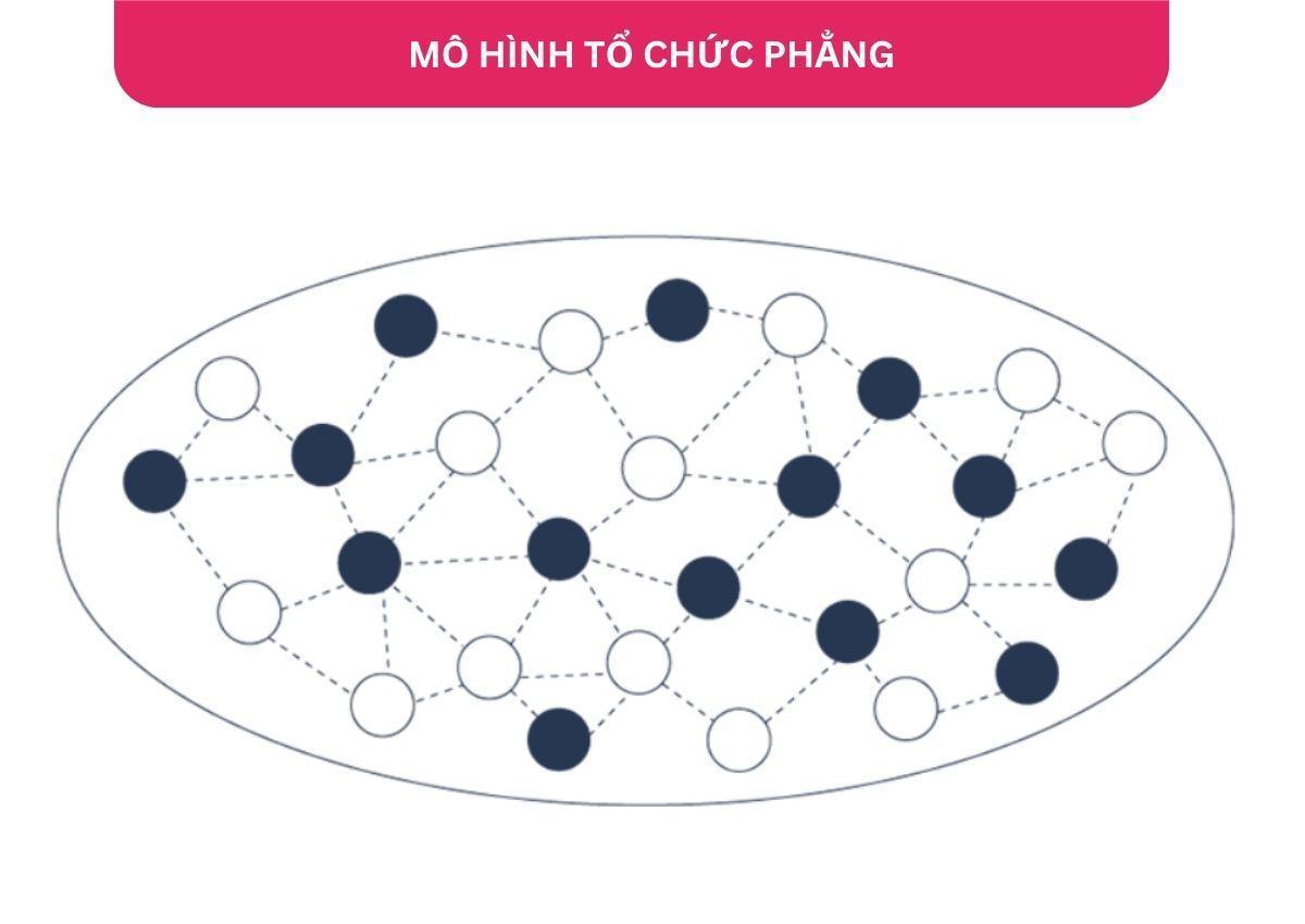 Sơ đồ tổ chức phẳng phù hợp với startup