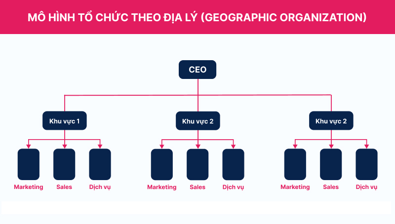 Mô hình tổ chức công ty cổ phần theo địa lý