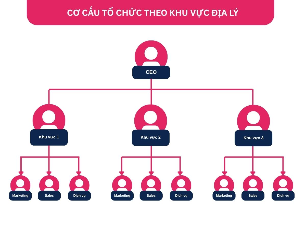 Sơ đồ tổ chức công ty cổ phần theo khu vực
