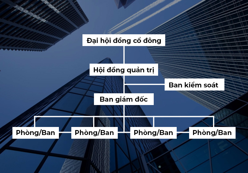 cơ cấu tổ chức công ty cổ phần 