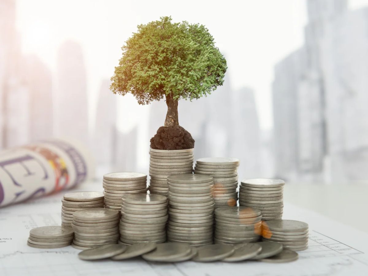 Vốn điều lệ của công ty cổ phần xác định quyền lợi, và nghĩa vụ