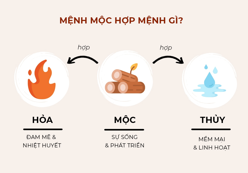 Mệnh Mộc hợp mệnh gì?