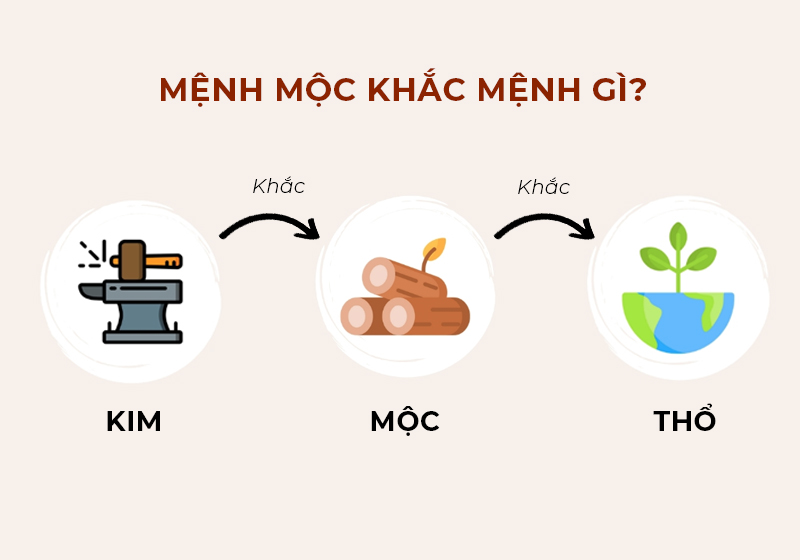 Mệnh Mộc khắc mệnh gì?