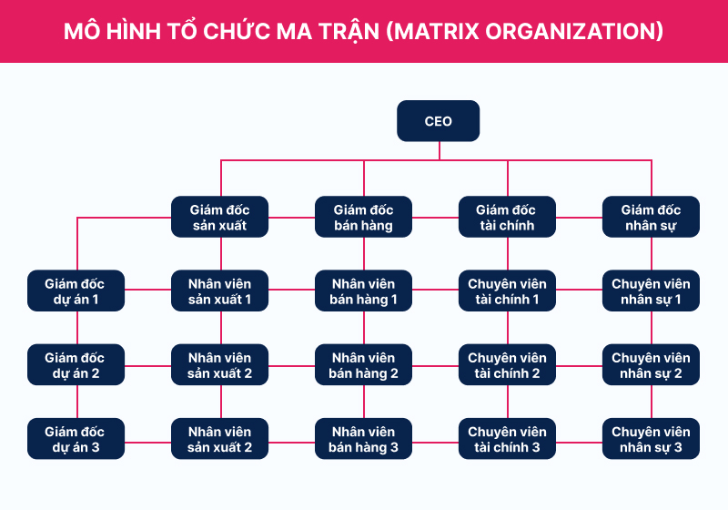 Sơ đồ tổ chức công ty cổ phần theo dạng ma trận