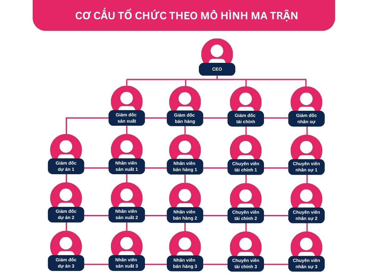 Sơ đồ tổ chức công ty cổ phần