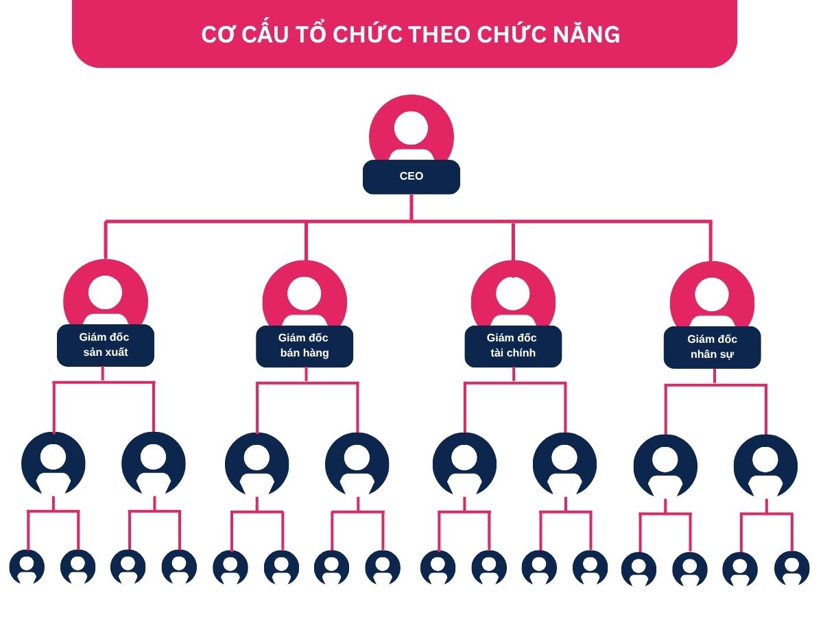 Cấu trúc công ty cổ phần theo chức năng, rõ vai trò
