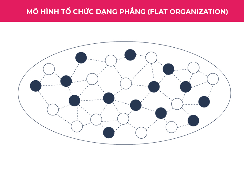 Cơ cấu tổ chức công ty dạng phẳng