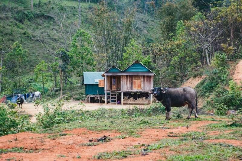 Đời sống người dân Quảng Trị còn khó khăn