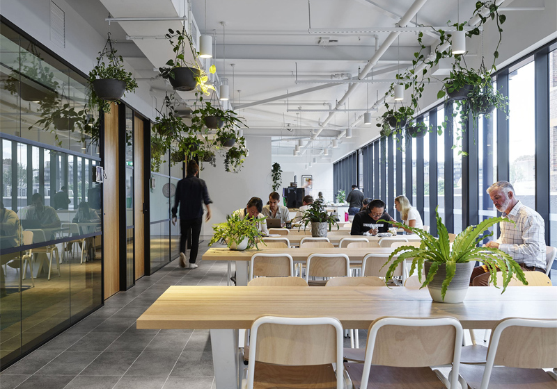 Thiết kế Coworking Space