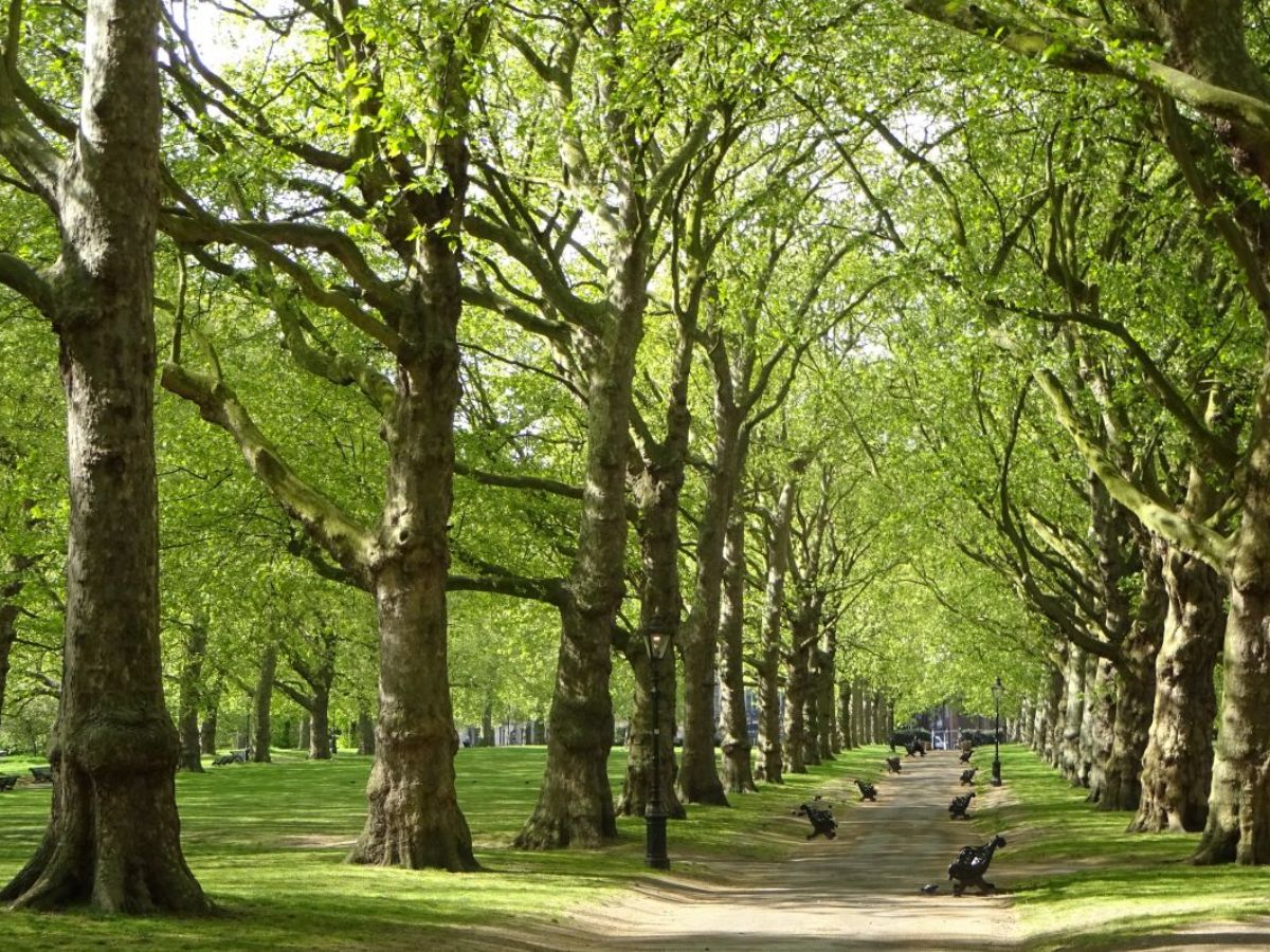 giải pháp năng lượng, nước, vật liệu bền vững theo tiêu chuẩn BREEAM