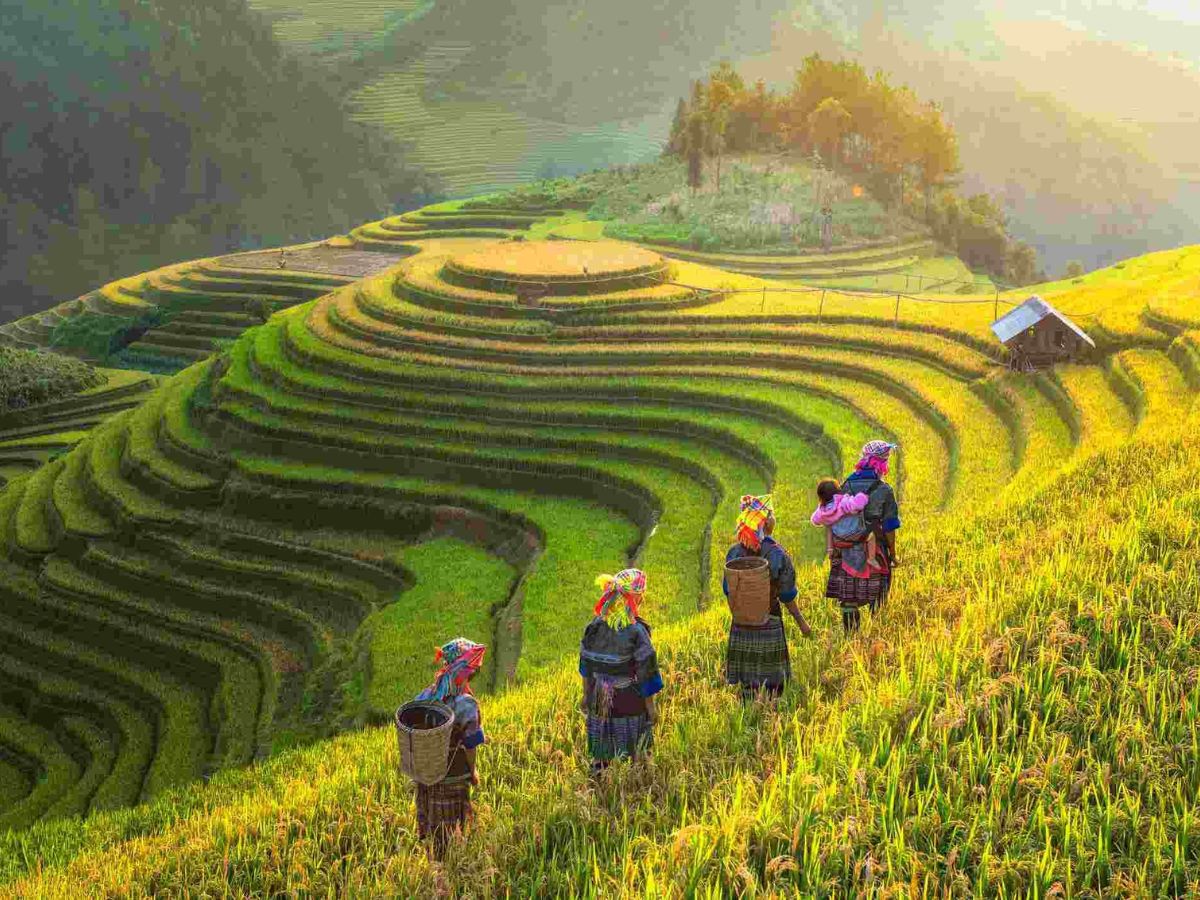 Trải nghiệm cảnh đẹp Việt Nam tại bản