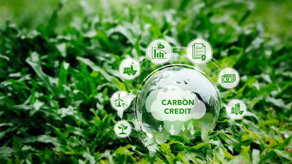 Đánh giá vòng đời tòa nhà giúp làm giảm phát thải carbon